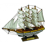 AMERIGO VESPUCCI 519